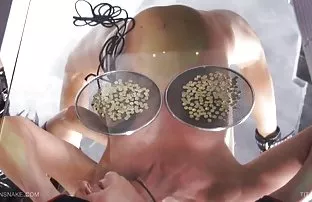 XXX Maya Hills mendominasi toilet cerita panas bibi
